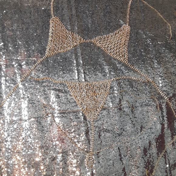 🔹️BLING rhinestone crystal bikini bra set🔹️ - Picture 5 of 8